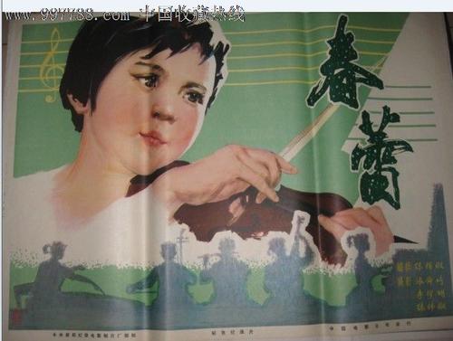 购买荷兰新版驾照